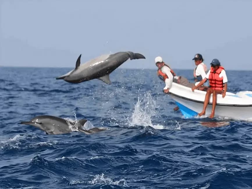 Boat Trip