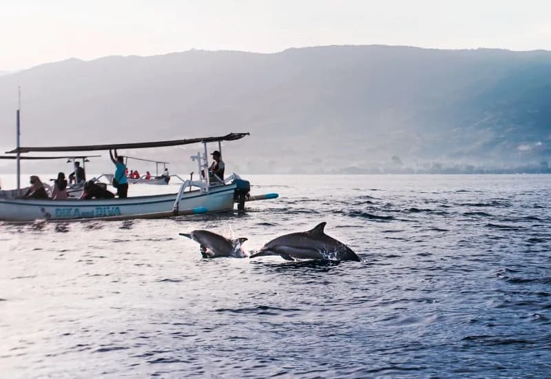 Boat Trip