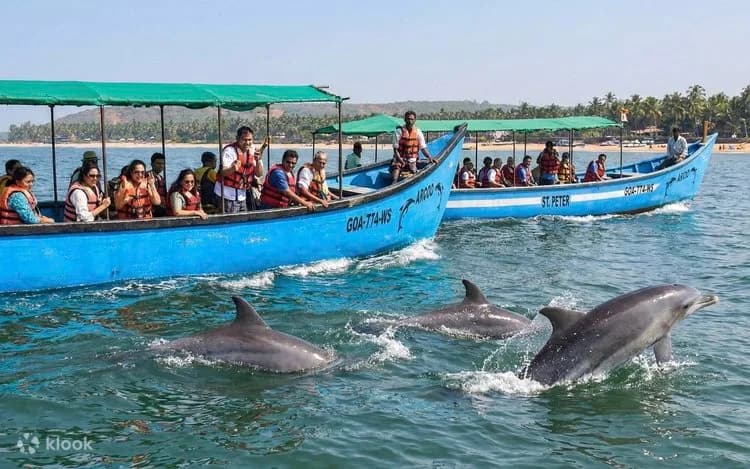 Boat Trip