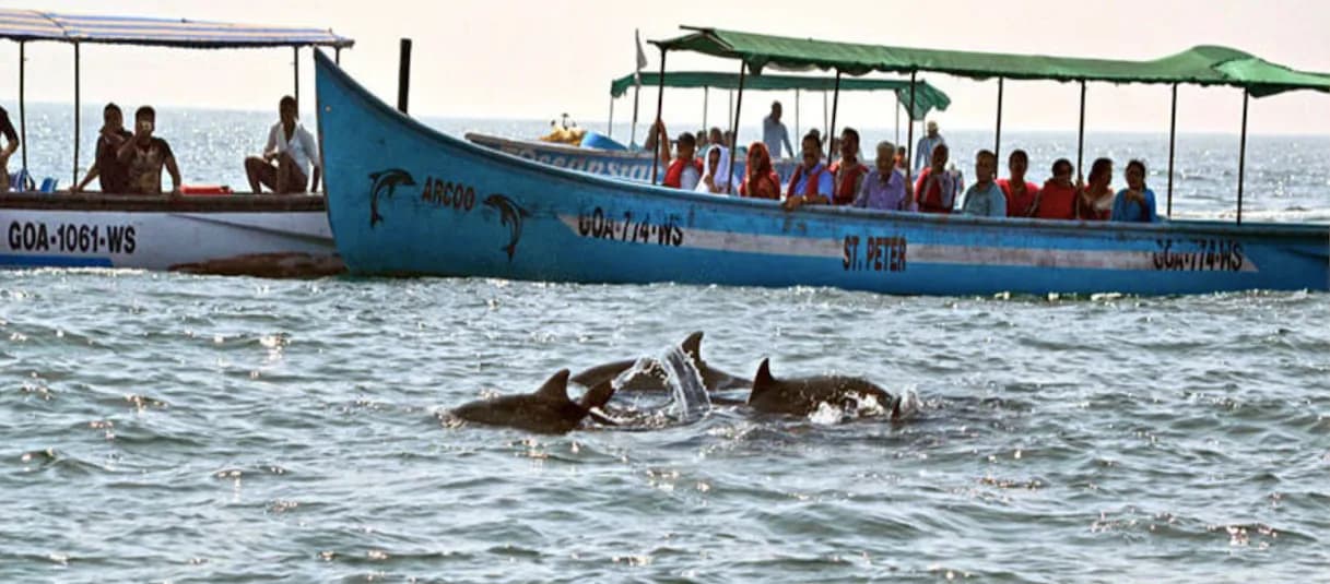 Boat Trip