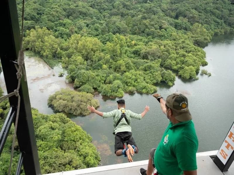 Bungee Jumping