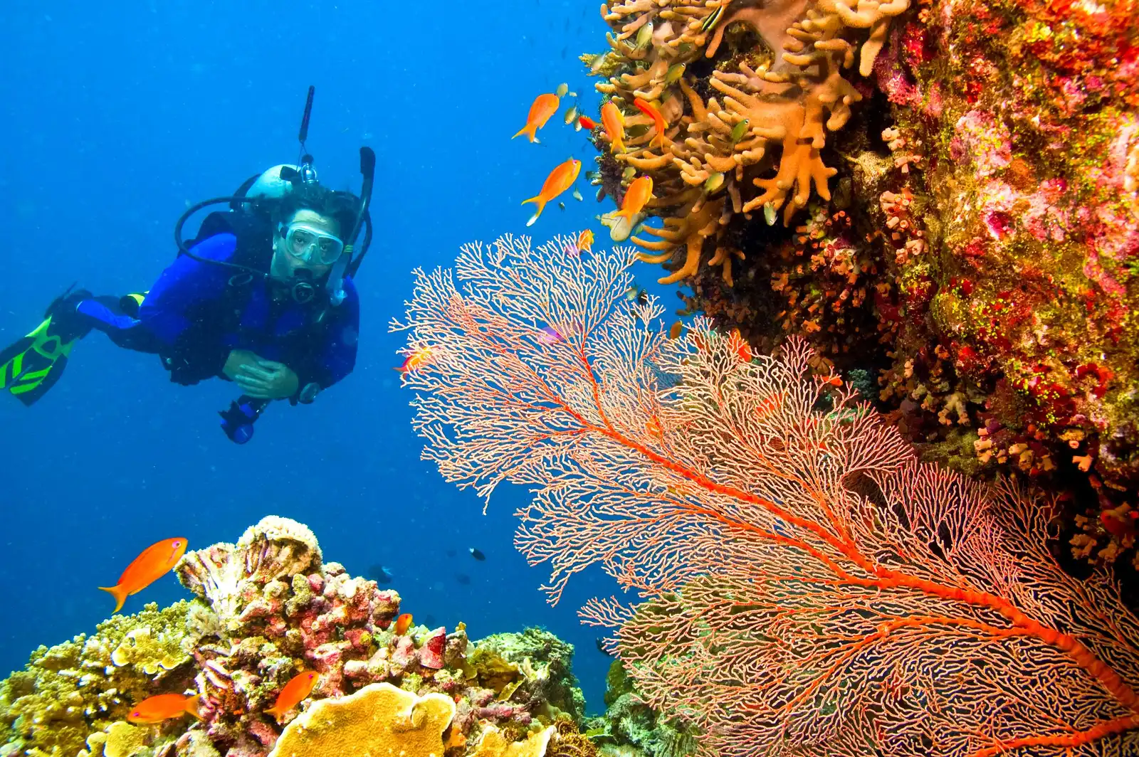 Scuba Diving