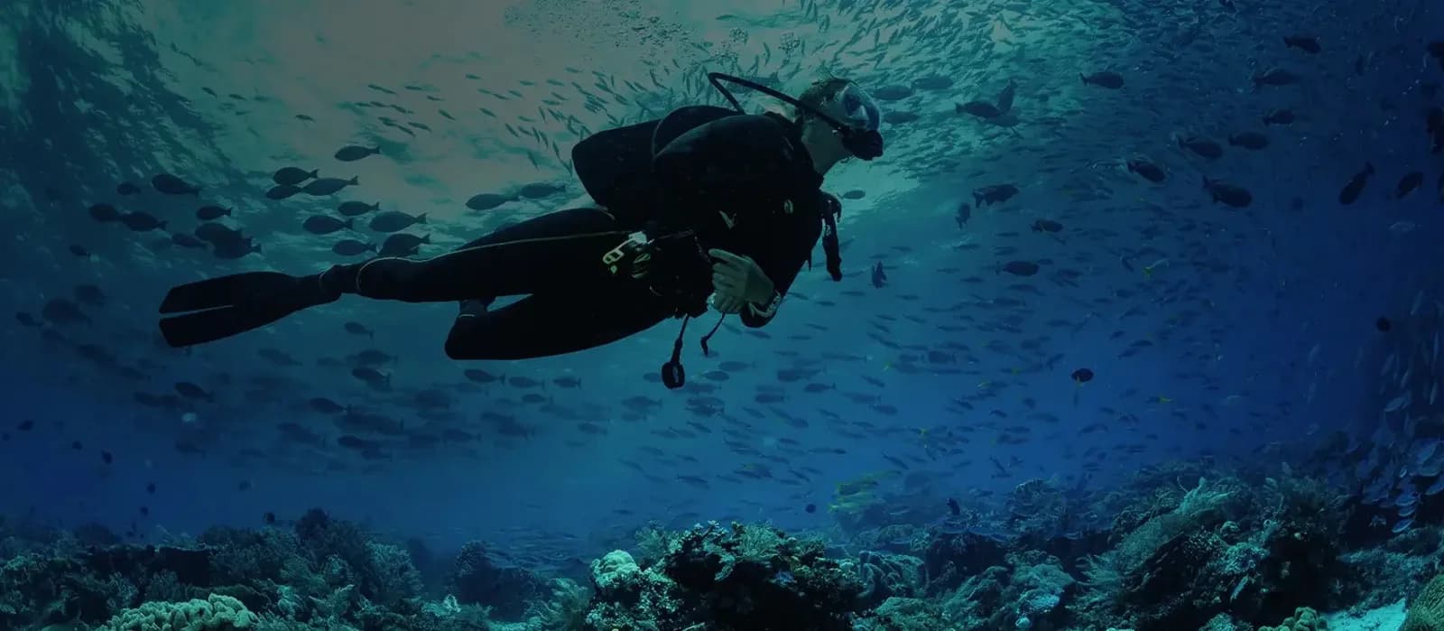 Scuba Evolution India