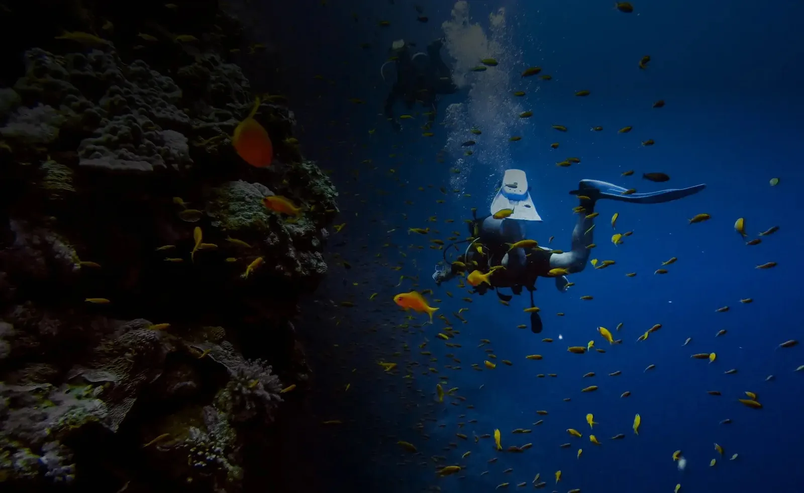 Scuba Evolution India