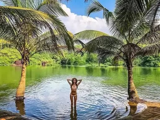 Arambol Sweet Lake