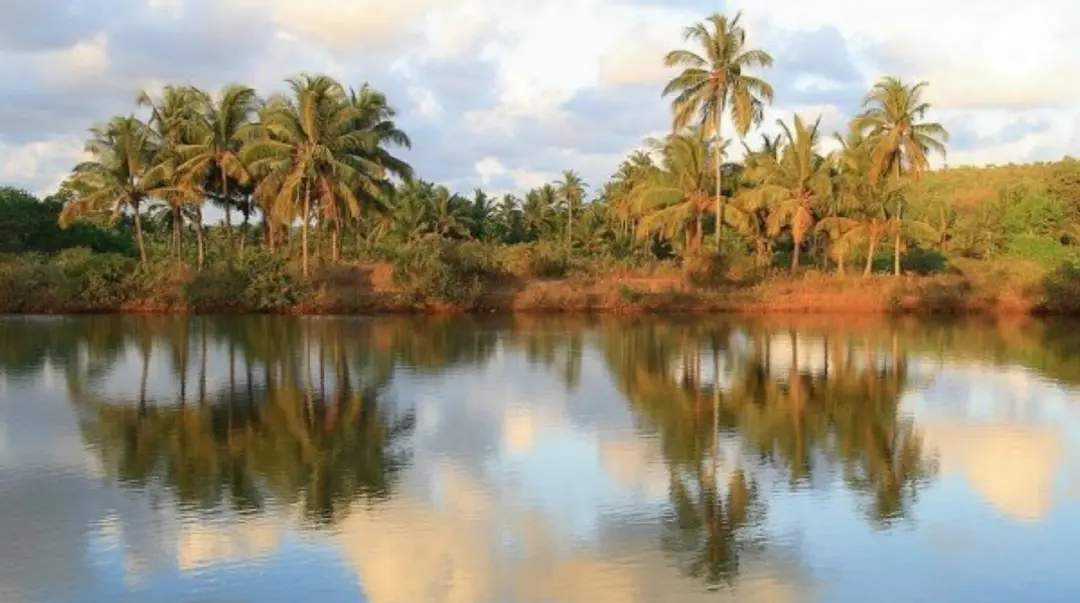 Arambol Sweet Lake