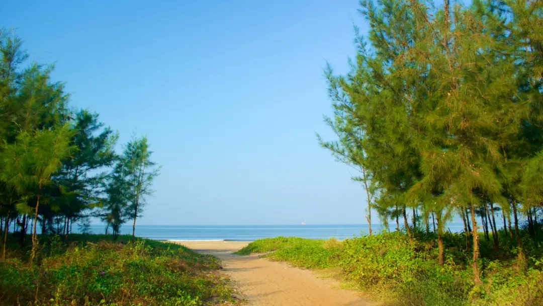 Miramar Beach