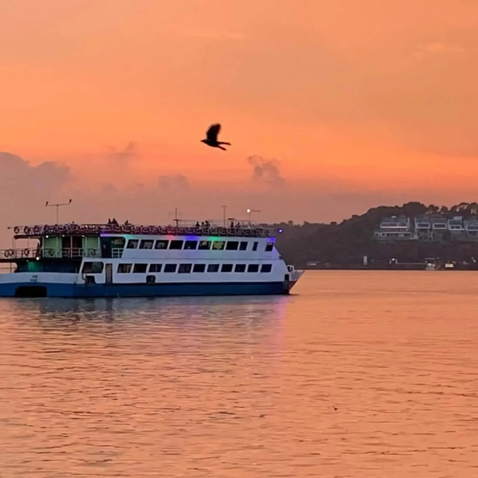 Swastik Dinner Cruise