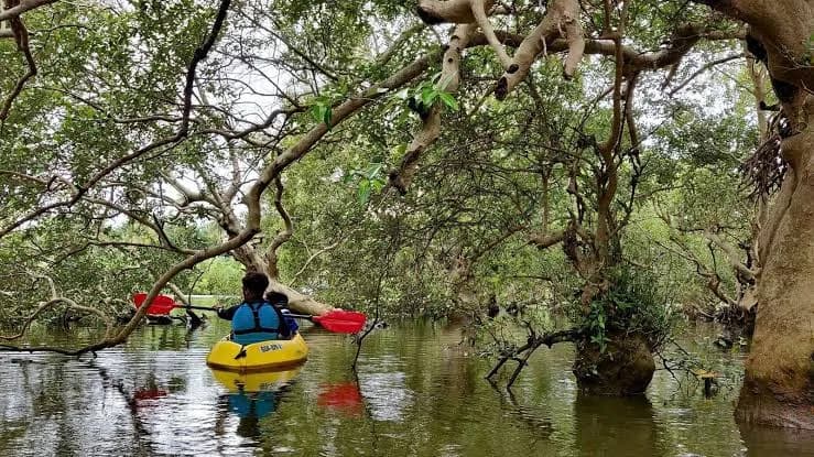 Colva Kayaking