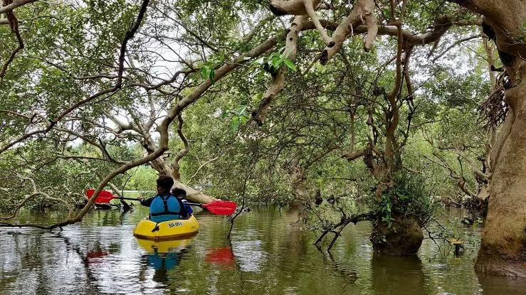 Colva Kayaking